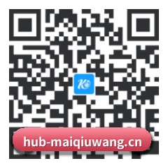 iOS 系统版 二维码